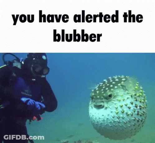 A Scuba Diver Is Looking At A Blobber In The Water GIF