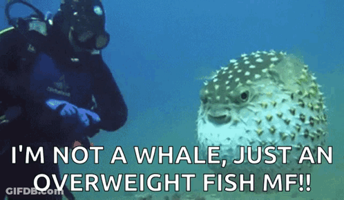 A Scuba Diver Is Standing Next To A Puffer Fish That Says I 'M Not A Whale GIF