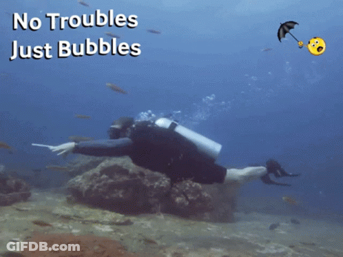 A Scuba Diver Is Surrounded By Fish And The Words No Troubles Just Bubbles GIF