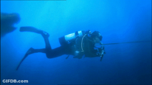 A Scuba Diver Is Swimming In A Blue Water GIF
