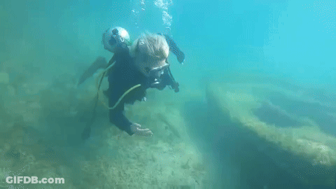 A Scuba Diver Is Swimming In The Ocean Near A Coral Reef GIF