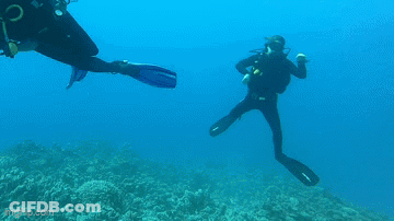 A Scuba Diver Is Swimming In The Ocean With Imgflip.com In The Bottom Right Corner GIF