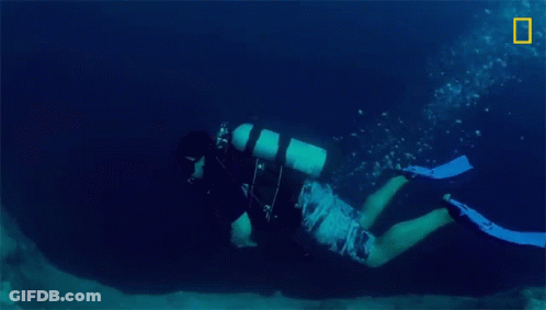 A Scuba Diver Is Swimming In The Ocean With The National Geographic Logo In The Background GIF