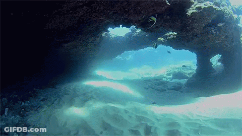 Scuba Diver Swimming In Cave GIF