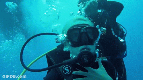 A Scuba Diver Is Taking A Picture Of Another Scuba Diver GIF