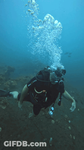 A Scuba Diver Is Wearing A Shirt That Says Aqualung On It GIF