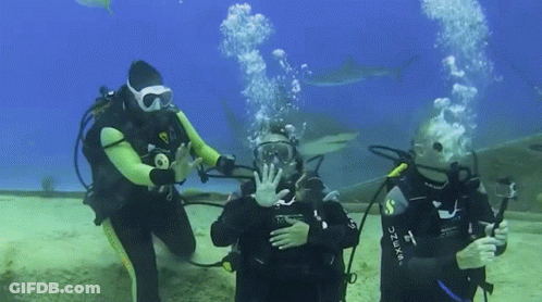 A Scuba Diver Is Wearing A Shirt That Says Next GIF