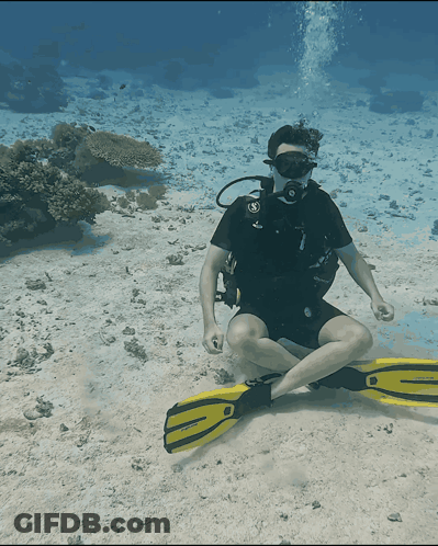 A Scuba Diver Wearing A Black Shirt And Black Shorts Is Sitting On The Sand GIF