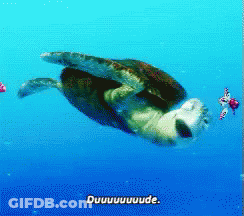A Sea Turtle Is Swimming In The Ocean With The Words Duuuuuuude Below It GIF