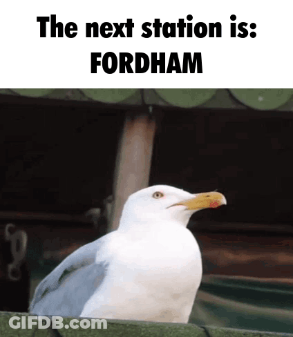 A Seagull Is Sitting On A Fence With The Words The Next Station Is Fordham Above It GIF