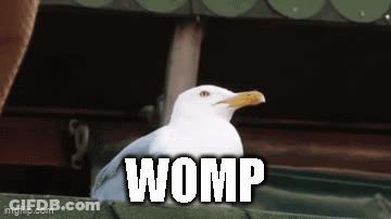 A Seagull Is Sitting On A Ledge With The Word Womp Written On It . GIF