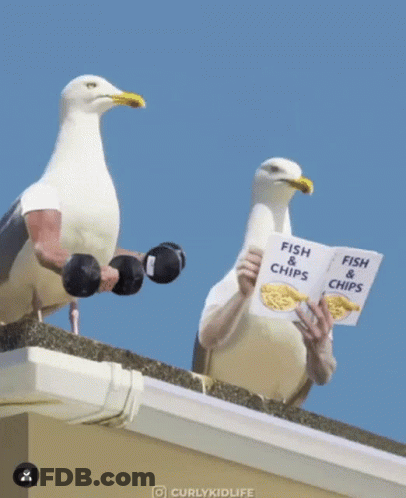 A Seagull Is Sitting On Top Of A Gutter Holding A Sign That Says Fish & Chips GIF