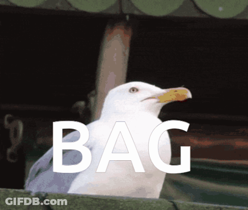 A Seagull Is Standing In Front Of A Sign That Reads Bag GIF