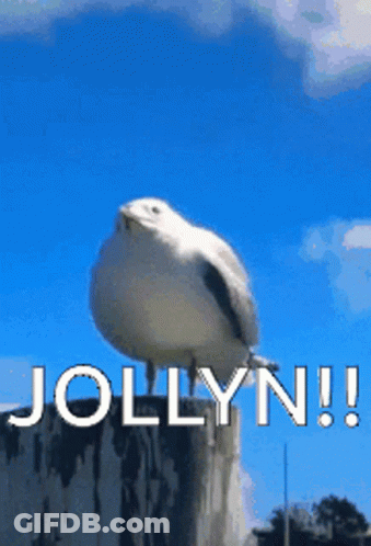 A Seagull Sitting On Top Of A Stump With The Words Jollyn Written Below It GIF