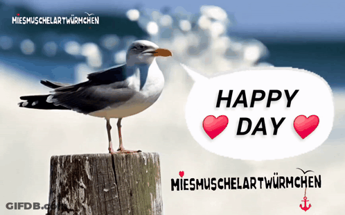 A Seagull Standing On A Stump With A Happy Day Speech Bubble Above It GIF
