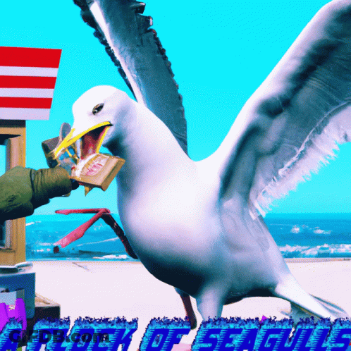 A Seagull With A Book In Its Beak And The Words A Flock Of Seagulls GIF