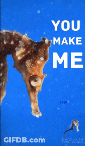 A Seahorse Is On A Blue Background With The Words You Make Me Happy GIF