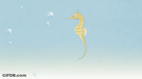 A Seahorse Is Swimming In The Water With Bubbles GIF