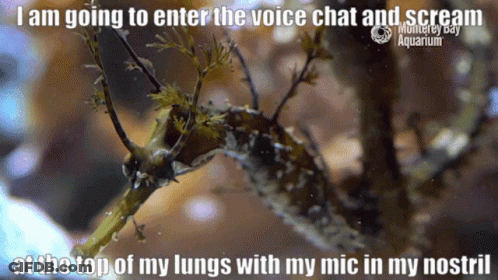 A Seahorse With The Caption I Am Going To Enter The Voice Chat And Scream GIF