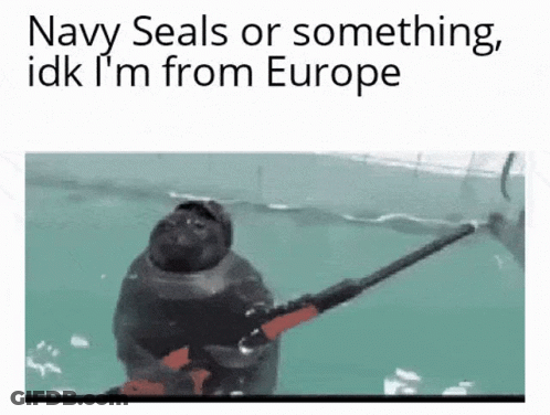 A Seal Holding A Gun In The Water With The Words Navy Seals Or Something Idk I 'M From Europe GIF