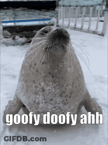 A Seal In The Snow With The Words Goofy Doofy Ahh GIF