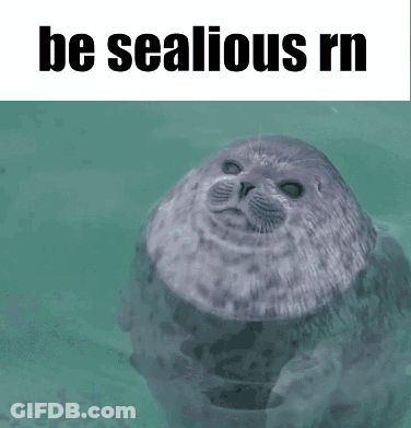 A Seal In The Water With The Words Be Sealious Rn Below It GIF