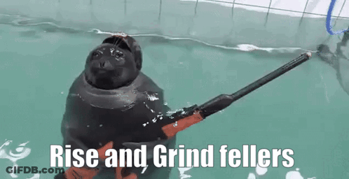 A Seal Is Holding A Stick In The Water With The Words `` Rise And Grind Fellers '' Written Below It . GIF