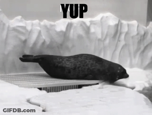A Seal Is Laying In The Snow With The Word Yup Behind It GIF
