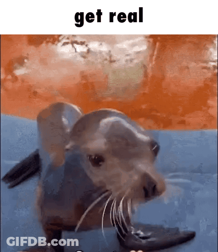 A Seal Is Looking At The Camera With The Words Get Real Above It . GIF