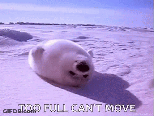 A Seal Is Rolling Around In The Snow With The Words `` Too Full Can 'T Move '' Behind It . GIF