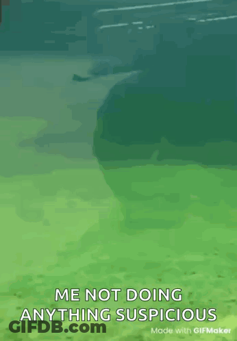 A Seal Is Swimming In The Water With The Caption Me Not Doing Anything Suspicious Made With Gifmaker GIF