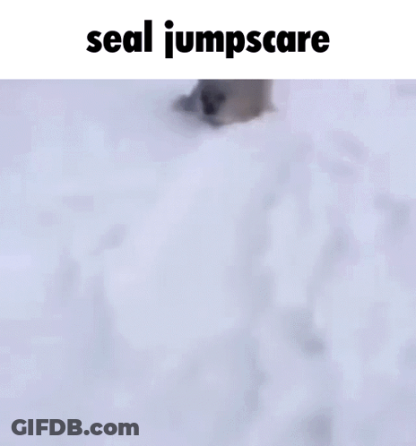 A Seal Is Walking Through The Snow With The Words `` Seal Jumpscare '' Written Above It . GIF
