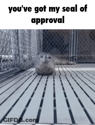 A Seal Laying On A Wooden Floor With The Words You 'Ve Got My Seal Of Approval Below It GIF