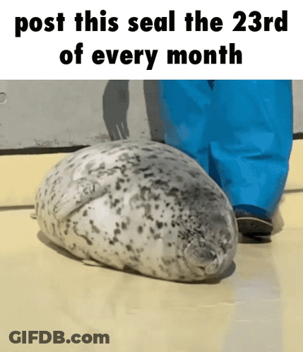 A Seal Laying On The Ground With The Words Post This Seal The 23Rd Of Every Month Underneath It GIF