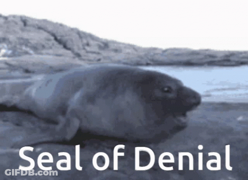 A Seal Laying On The Ground With The Words Seal Of Denial Above It GIF