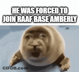 A Seal With The Words He Was Forced To Join Raaf Base Amberly Written On It GIF