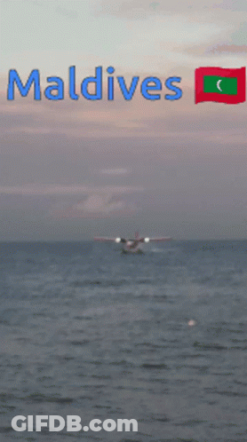 A Seaplane Is Taking Off From Maldives With A Flag In The Background GIF