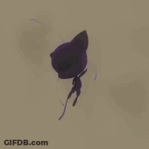 A Shadow Of A Cat Is Flying Through The Air On A White Background . GIF