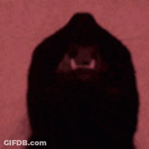 A Shadow Of A Gorilla With Sharp Teeth Is Against A Red Background . GIF
