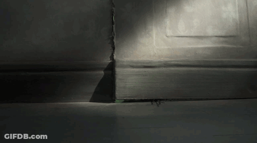 A Shadow Of A Person Is Cast On A Wall GIF