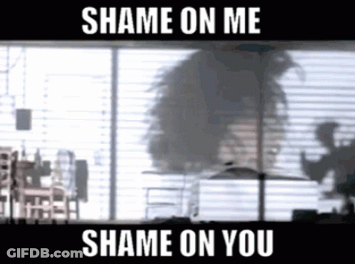 A Shame On Me Shame On You Meme With A Blurry Image GIF