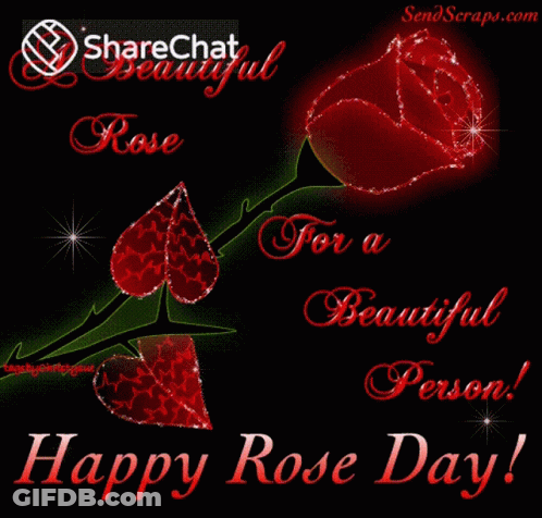 A Sharechat Beautiful Rose For A Beautiful Person Greeting Card GIF