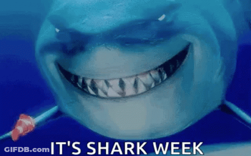 A Shark From The Movie Finding Nemo Is Smiling And Holding A Fishing Rod . GIF