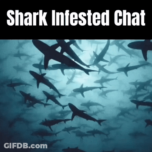 A Shark Infested Chat Poster With A Picture Of Sharks In The Water GIF