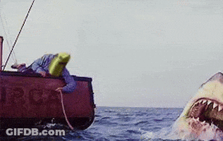 A Shark Is Attacking A Boat In The Ocean GIF