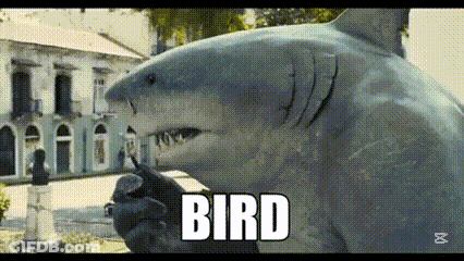 A Shark Is Holding A Bird In Its Mouth And The Word Bird Is Above It GIF