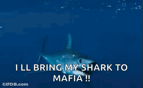 A Shark Is Saying I Ll Bring My Shark To Mafia ! GIF