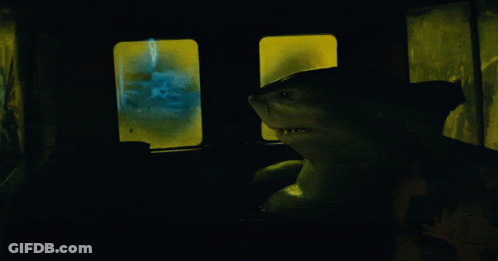 A Shark Is Sitting In A Dark Room With A Yellow Window GIF