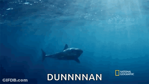 A Shark Is Swimming In The Ocean With The Name Dunnnan Written On The Bottom GIF