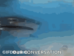 A Shark Is Swimming In The Ocean With The Words Our Conversation Behind It . GIF